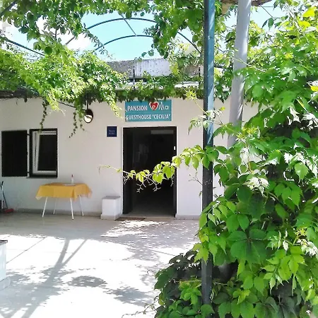 Cecilia 3* Malinska