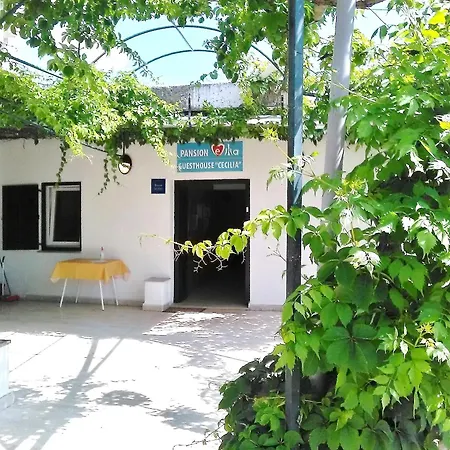 Casa de hóspedes Cecilia Malinska